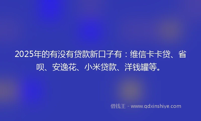 2025年的有没有贷款新口子有：维信卡卡贷、省呗、安逸花、小米贷款、洋钱罐等。