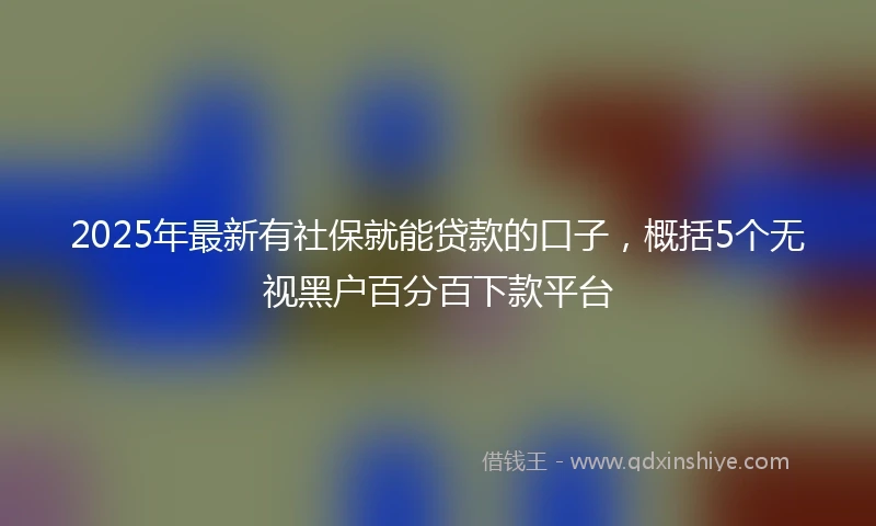 2025年最新有社保就能贷款的口子，概括5个无视黑户百分百下款平台