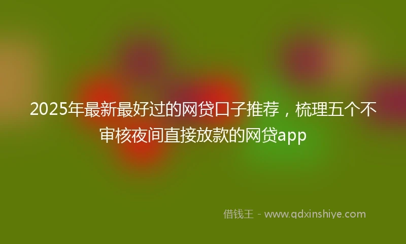 2025年最新最好过的网贷口子推荐，梳理五个不审核夜间直接放款的网贷app