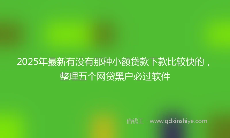2025年最新有没有那种小额贷款下款比较快的，整理五个网贷黑户必过软件
