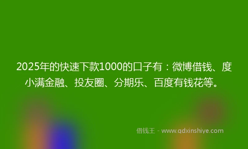 2025年的快速下款1000的口子有：微博借钱、度小满金融、投友圈、分期乐、百度有钱花等。