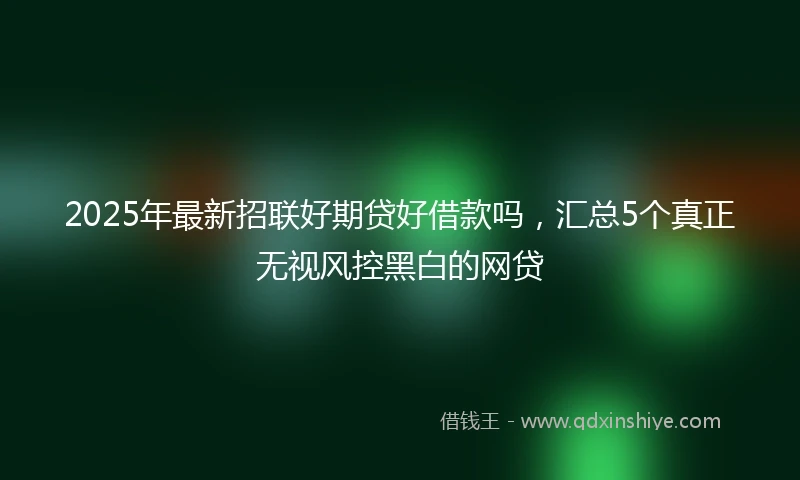 2025年最新招联好期贷好借款吗，汇总5个真正无视风控黑白的网贷