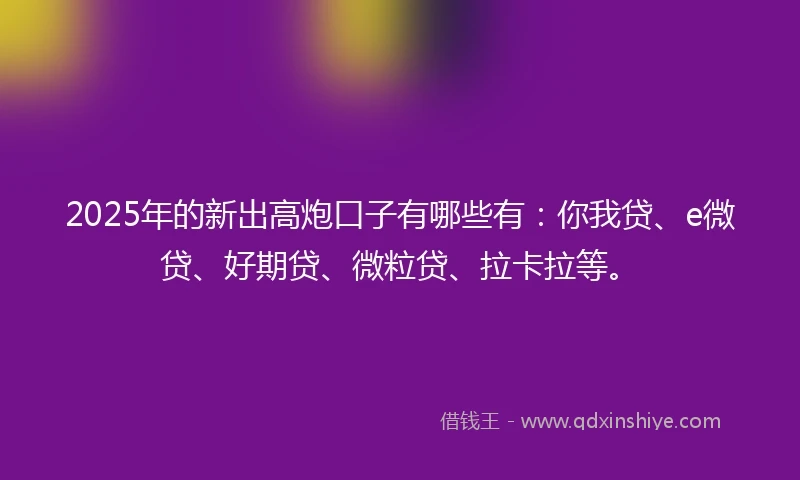2025年的新出高炮口子有哪些有：你我贷、e微贷、好期贷、微粒贷、拉卡拉等。