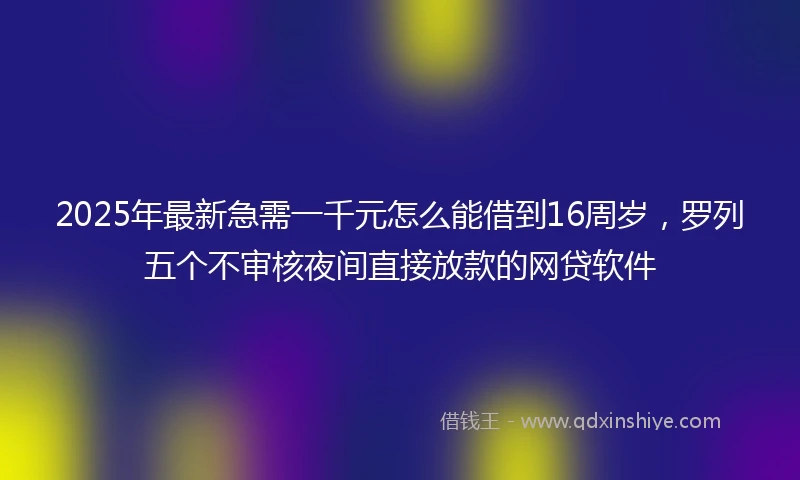 2025年最新急需一千元怎么能借到16周岁，罗列五个不审核夜间直接放款的网贷软件