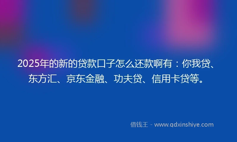 2025年的新的贷款口子怎么还款啊有：你我贷、东方汇、京东金融、功夫贷、信用卡贷等。