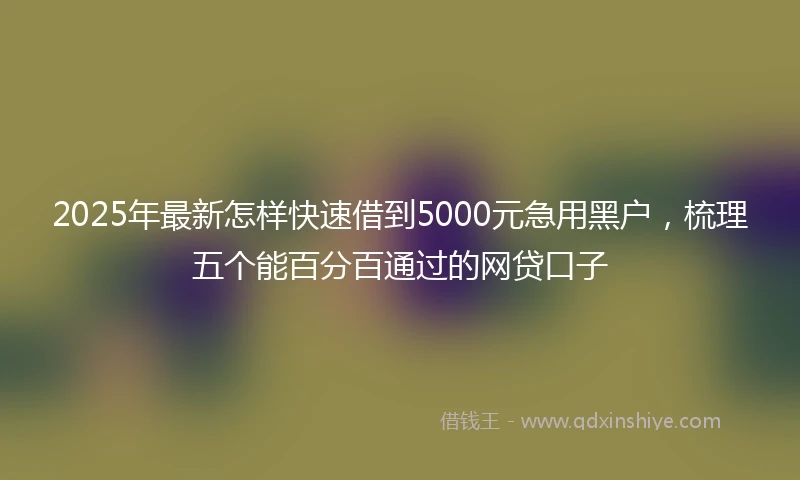 2025年最新怎样快速借到5000元急用黑户，梳理五个能百分百通过的网贷口子