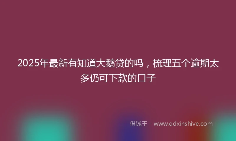 2025年最新有知道大鹅贷的吗，梳理五个逾期太多仍可下款的口子