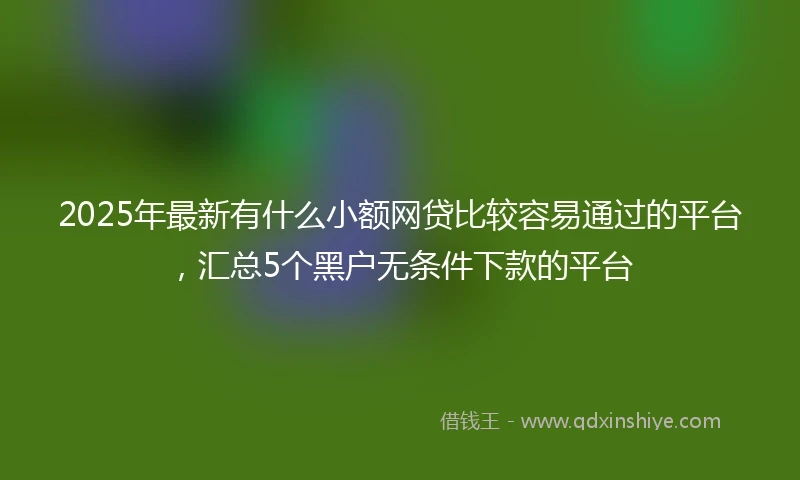 2025年最新有什么小额网贷比较容易通过的平台，汇总5个黑户无条件下款的平台