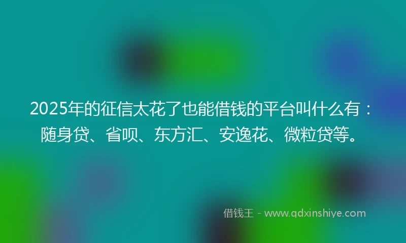 2025年的征信太花了也能借钱的平台叫什么有：随身贷、省呗、东方汇、安逸花、微粒贷等。