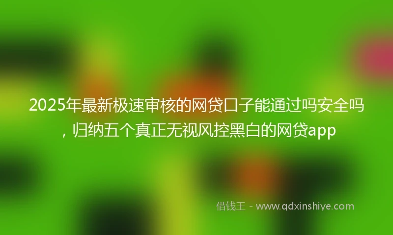2025年最新极速审核的网贷口子能通过吗安全吗，归纳五个真正无视风控黑白的网贷app