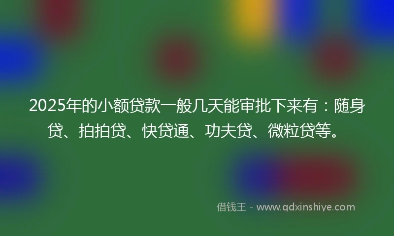2025年的小额贷款一般几天能审批下来有：随身贷、拍拍贷、快贷通、功夫贷、微粒贷等。