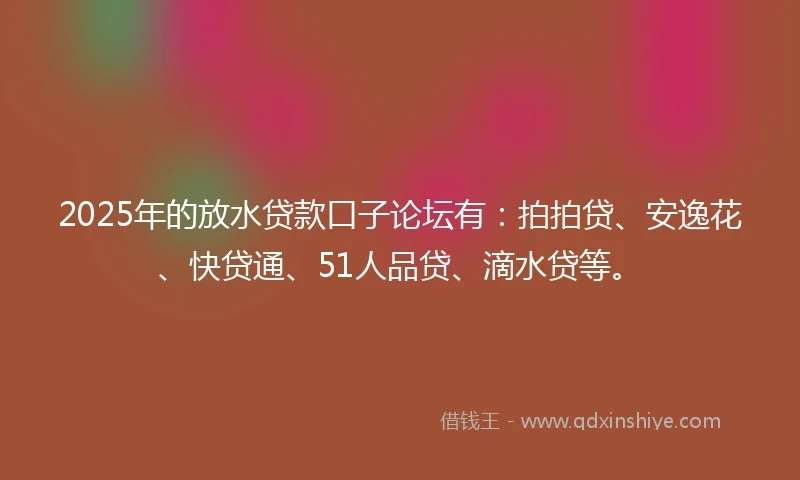 2025年的放水贷款口子论坛有：拍拍贷、安逸花、快贷通、51人品贷、滴水贷等。