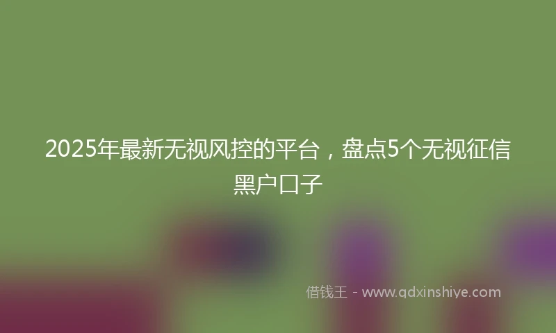 2025年最新无视风控的平台，盘点5个无视征信黑户口子