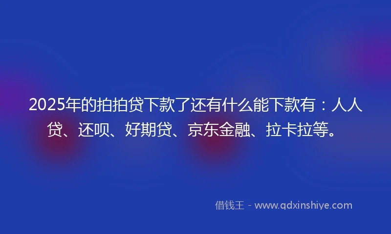 2025年的拍拍贷下款了还有什么能下款有：人人贷、还呗、好期贷、京东金融、拉卡拉等。