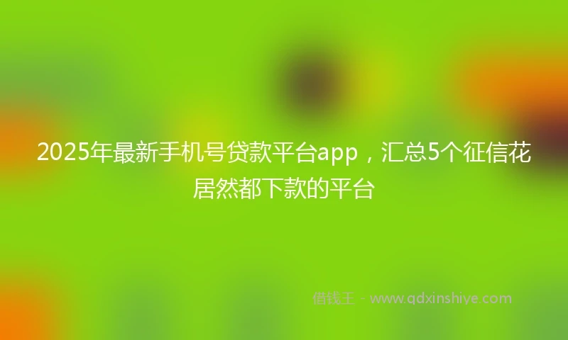 2025年最新手机号贷款平台app，汇总5个征信花居然都下款的平台