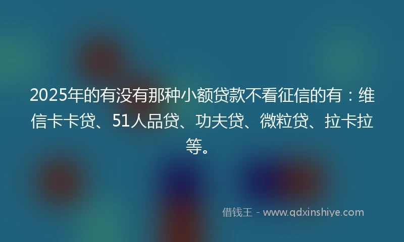 2025年的有没有那种小额贷款不看征信的有：维信卡卡贷、51人品贷、功夫贷、微粒贷、拉卡拉等。