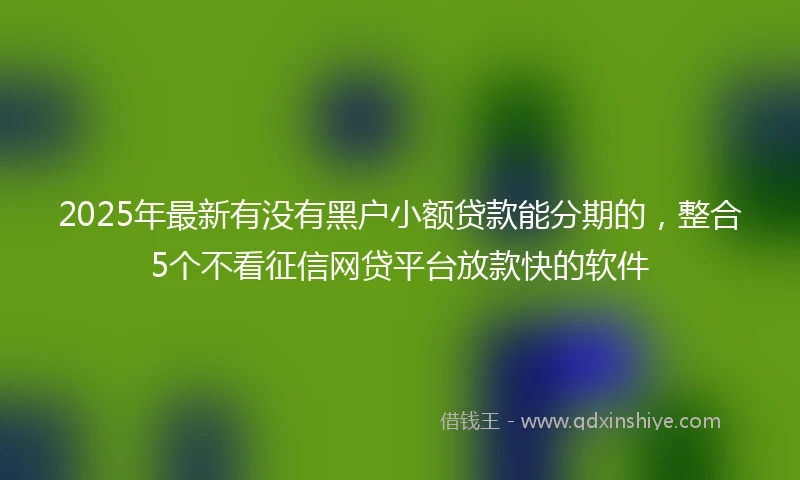 2025年最新有没有黑户小额贷款能分期的，整合5个不看征信网贷平台放款快的软件