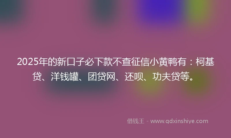 2025年的新口子必下款不查征信小黄鸭有：柯基贷、洋钱罐、团贷网、还呗、功夫贷等。