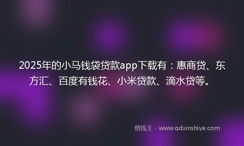 2025年的小马钱袋贷款app下载有：惠商贷、东方汇、百度有钱花、小米贷款、滴水贷等。