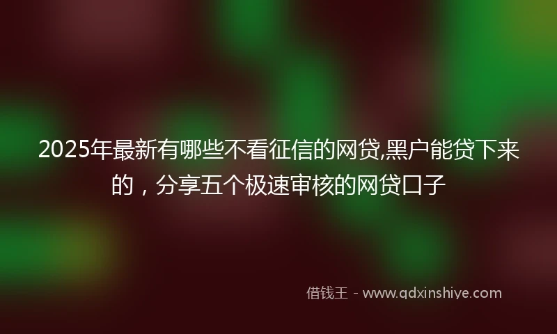 2025年最新有哪些不看征信的网贷,黑户能贷下来的，分享五个极速审核的网贷口子