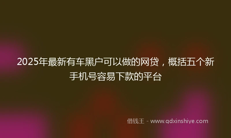 2025年最新有车黑户可以做的网贷，概括五个新手机号容易下款的平台