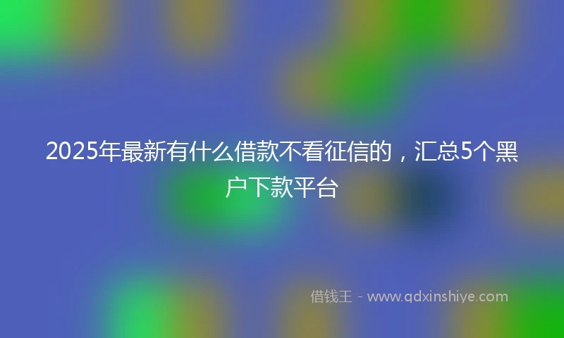 2025年最新有什么借款不看征信的，汇总5个黑户下款平台