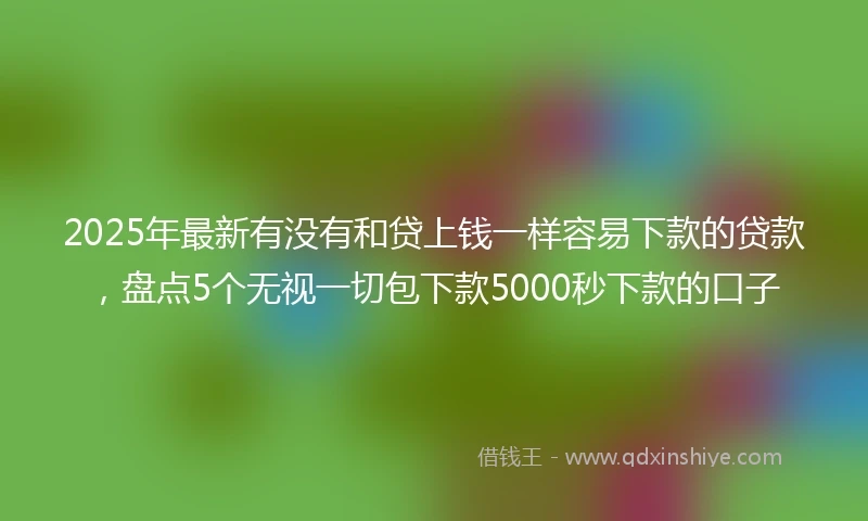 2025年最新有没有和贷上钱一样容易下款的贷款，盘点5个无视一切包下款5000秒下款的口子