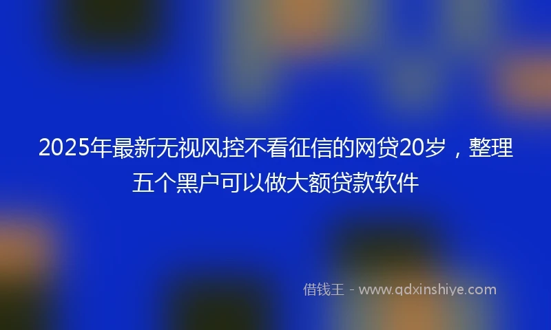 2025年最新无视风控不看征信的网贷20岁，整理五个黑户可以做大额贷款软件