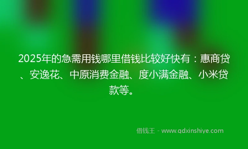 2025年的急需用钱哪里借钱比较好快有：惠商贷、安逸花、中原消费金融、度小满金融、小米贷款等。