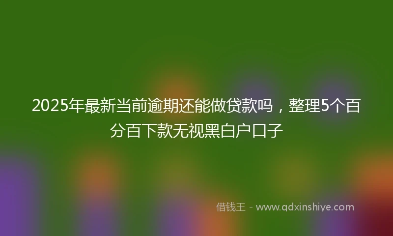 2025年最新当前逾期还能做贷款吗，整理5个百分百下款无视黑白户口子