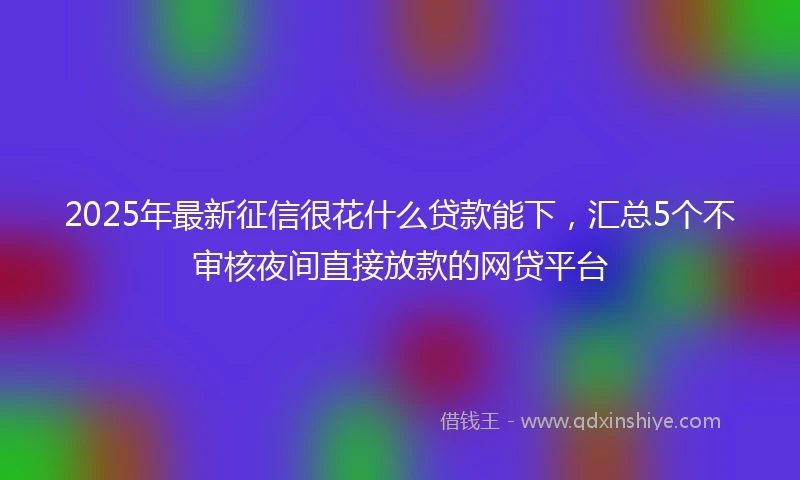 2025年最新征信很花什么贷款能下，汇总5个不审核夜间直接放款的网贷平台