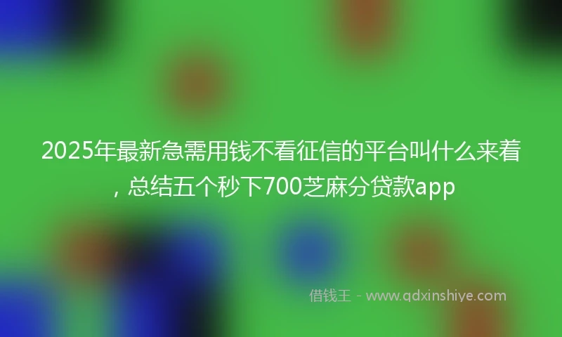 2025年最新急需用钱不看征信的平台叫什么来着，总结五个秒下700芝麻分贷款app