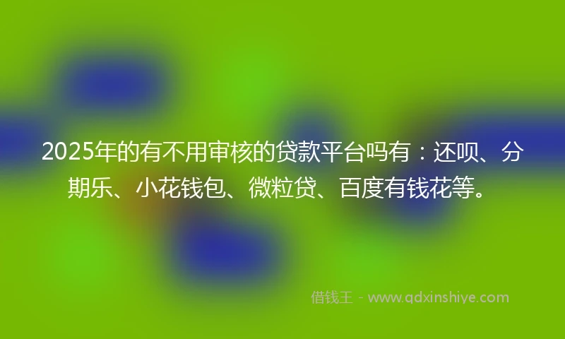 2025年的有不用审核的贷款平台吗有：还呗、分期乐、小花钱包、微粒贷、百度有钱花等。