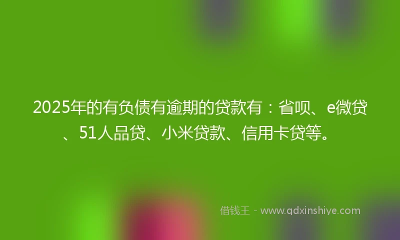 2025年的有负债有逾期的贷款有：省呗、e微贷、51人品贷、小米贷款、信用卡贷等。