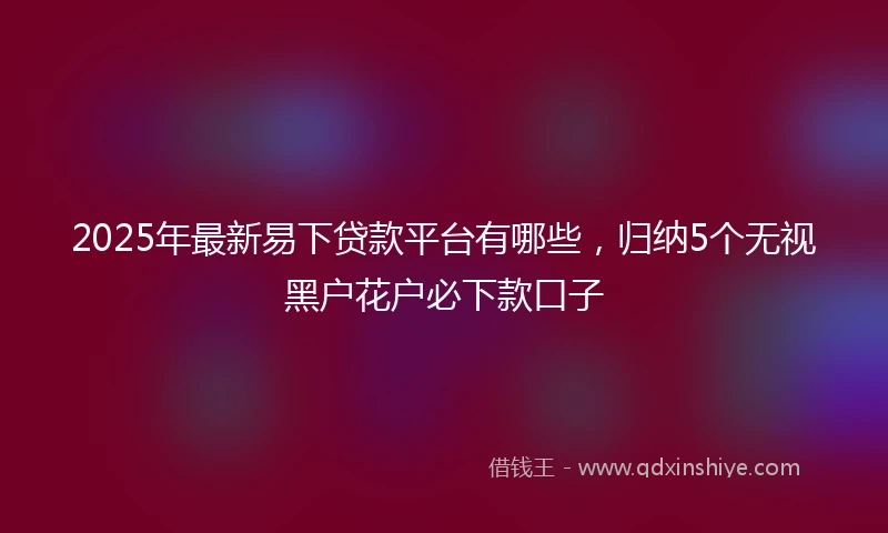 2025年最新易下贷款平台有哪些，归纳5个无视黑户花户必下款口子