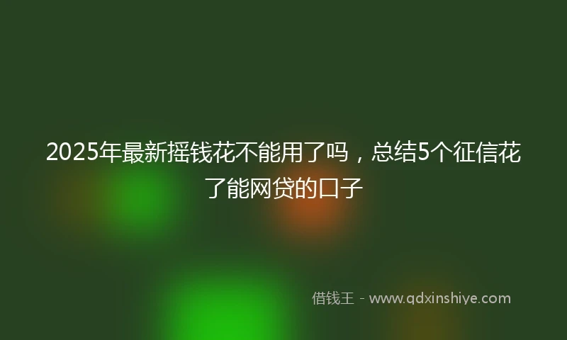 2025年最新摇钱花不能用了吗，总结5个征信花了能网贷的口子