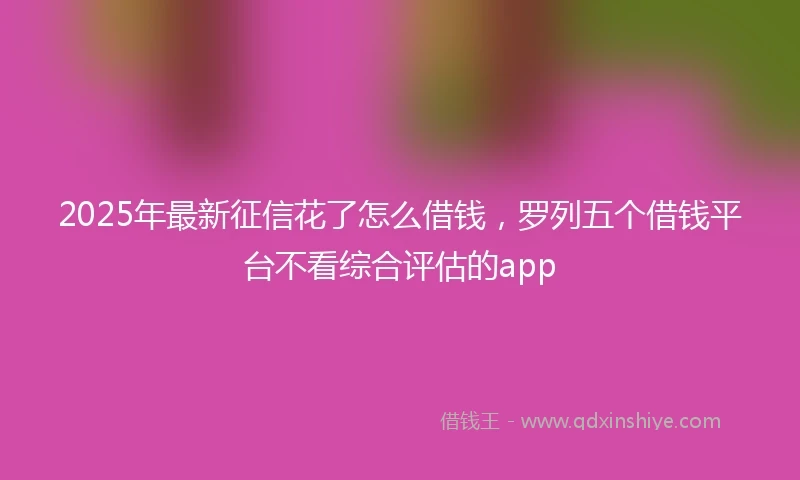 2025年最新征信花了怎么借钱，罗列五个借钱平台不看综合评估的app