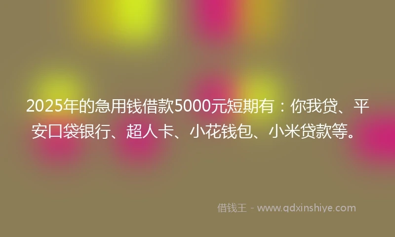 2025年的急用钱借款5000元短期有：你我贷、平安口袋银行、超人卡、小花钱包、小米贷款等。