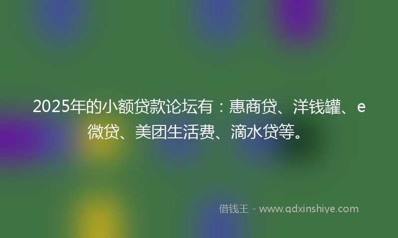 2025年的小额贷款论坛有：惠商贷、洋钱罐、e微贷、美团生活费、滴水贷等。