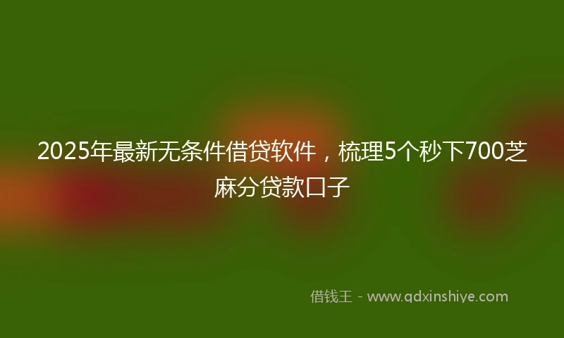 2025年最新无条件借贷软件,梳理5个秒下700芝麻分贷款口子