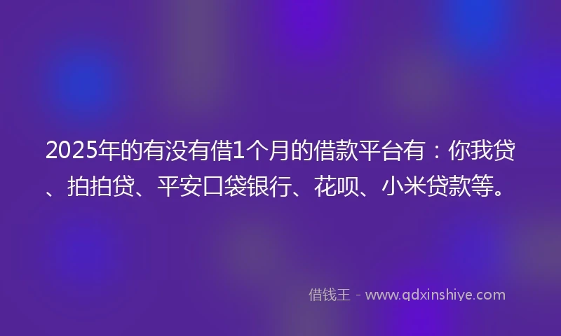 2025年的有没有借1个月的借款平台有：你我贷、拍拍贷、平安口袋银行、花呗、小米贷款等。