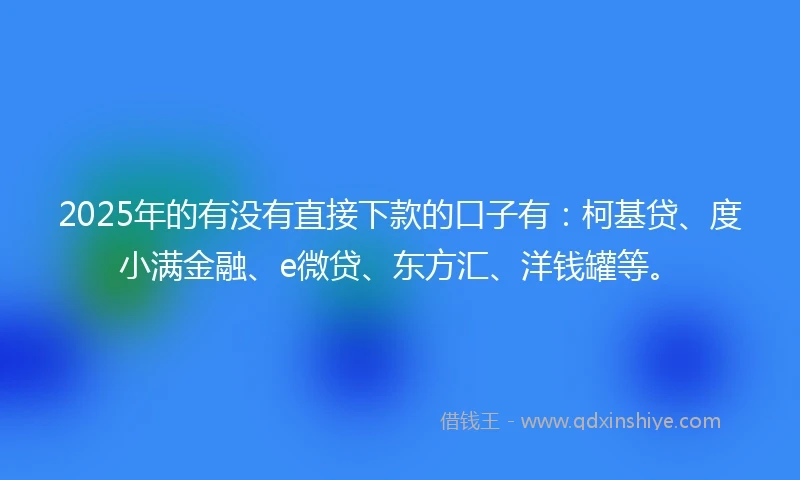 2025年的有没有直接下款的口子有：柯基贷、度小满金融、e微贷、东方汇、洋钱罐等。