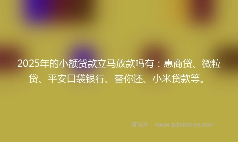 2025年的小额贷款立马放款吗有：惠商贷、微粒贷、平安口袋银行、替你还、小米贷款等。