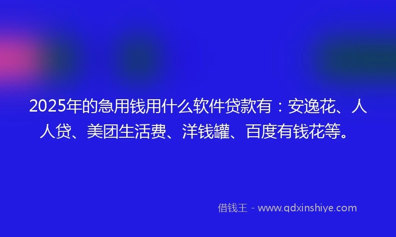2025年的急用钱用什么软件贷款有：安逸花、人人贷、美团生活费、洋钱罐、百度有钱花等。