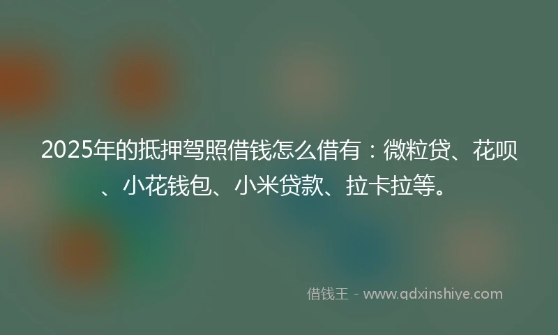 2025年的抵押驾照借钱怎么借有：微粒贷、花呗、小花钱包、小米贷款、拉卡拉等。