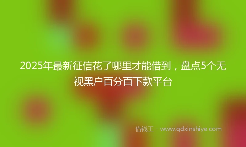 2025年最新征信花了哪里才能借到，盘点5个无视黑户百分百下款平台