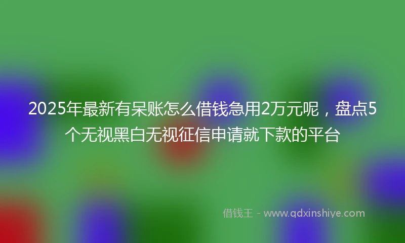 2025年最新有呆账怎么借钱急用2万元呢，盘点5个无视黑白无视征信申请就下款的平台