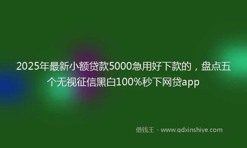 2025年最新小额贷款5000急用好下款的，盘点五个无视征信黑白100%秒下网贷app