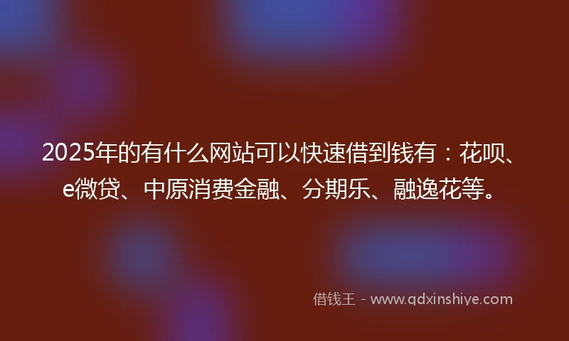 2025年的有什么网站可以快速借到钱有：花呗、e微贷、中原消费金融、分期乐、融逸花等。