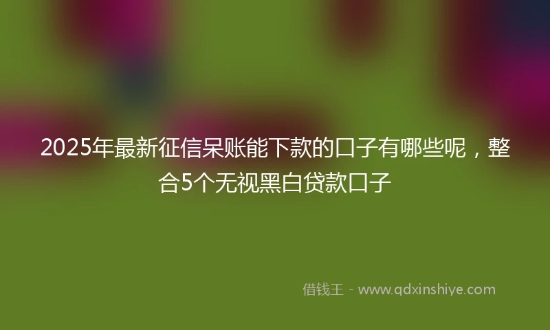 2025年最新征信呆账能下款的口子有哪些呢，整合5个无视黑白贷款口子